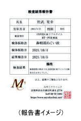 報告書イメージ